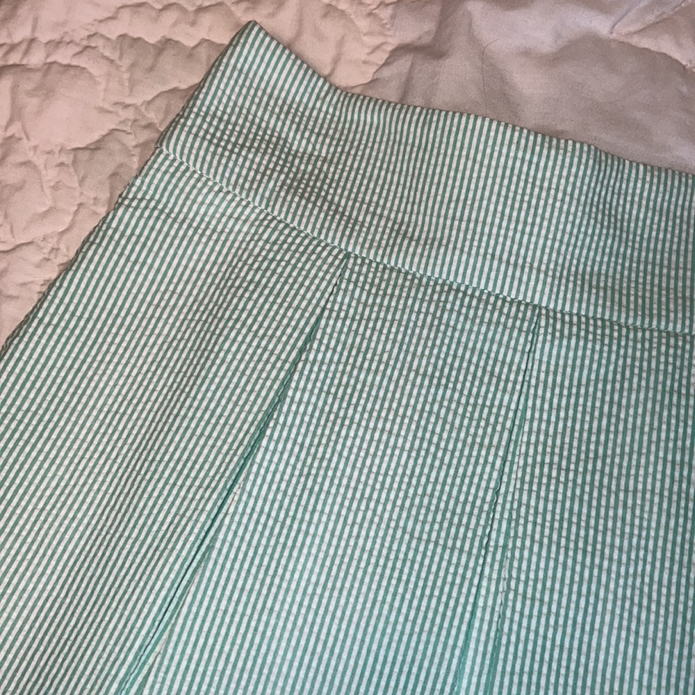Lauren James Pleated SS Skirt 200 in shade Mint. - Picture 4 of 4